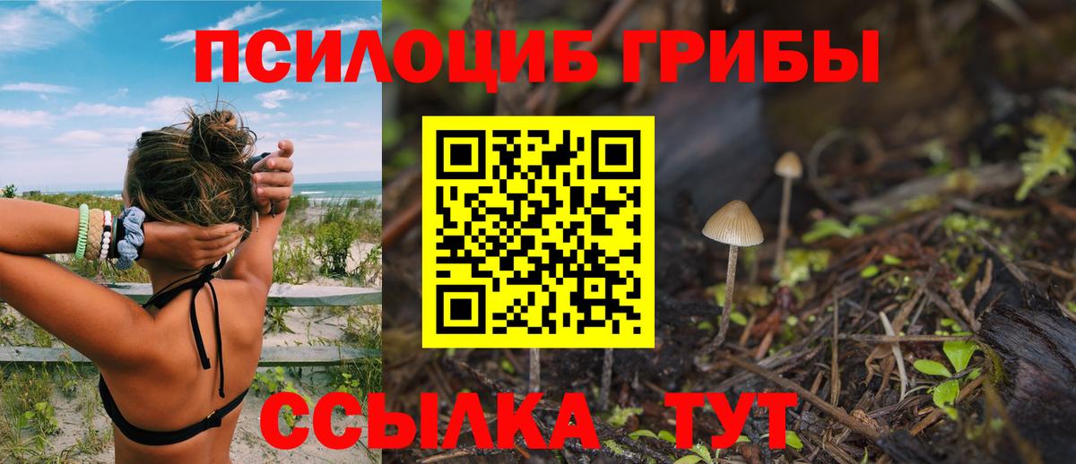 Галлюциногенные грибы прущие грибы Кинель
