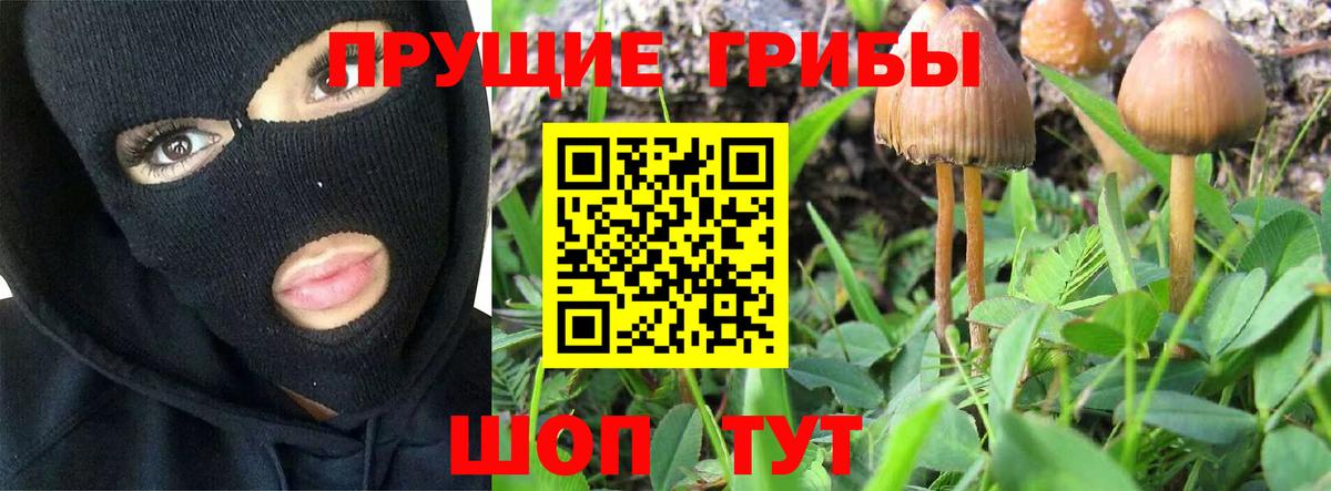 Кинель  Псилоцибиновые грибы ЛСД  Псилоцибиновые грибы GOLDEN TEACHER  Вход с VPN 